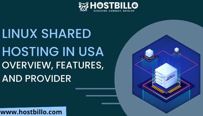 Linux Shared Hosting in USA: Overview, Features, and Provider