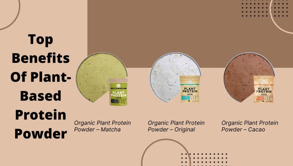 Top Benefits Of Plant-Based Protein Powder