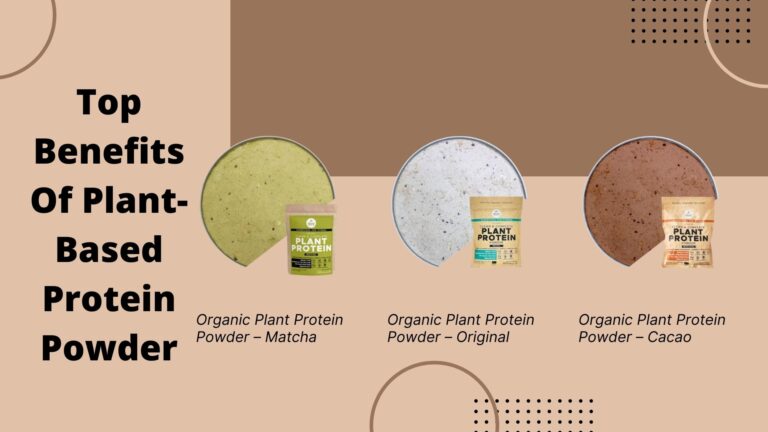 What Are The Top Benefits Of Plant-Based Protein Powder