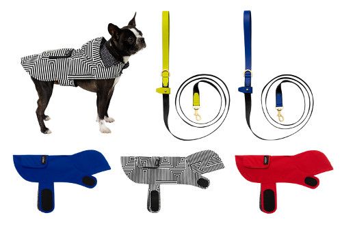 Best Shopping Tips For Buying Dog Accessories Online
