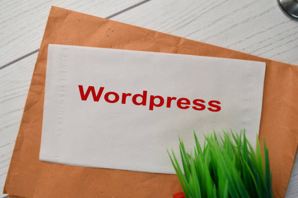 <a>6 Best Landing Page Builders for Your WordPress Site</a>