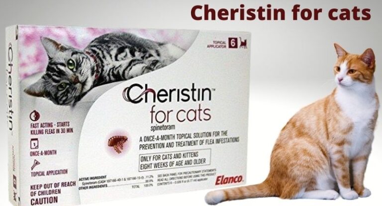 What is Cheristin For Cats & Do You Need Any Prescription For It?