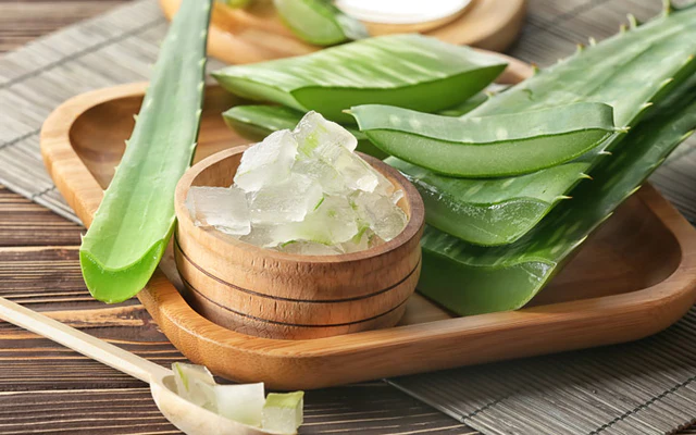 Aloe Vera Clinical Benefit For Eye, Skin And Prosperity