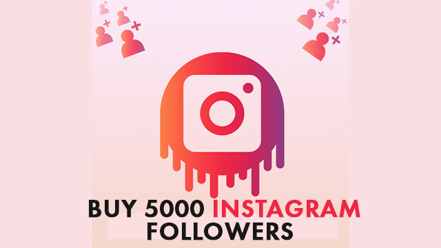 How to Buy 5000 Instagram Followers Cheaply?
