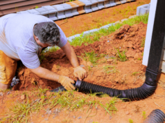 Six Signs Your Yard Needs a Drainage Solution Upgrade Yard Drainage
